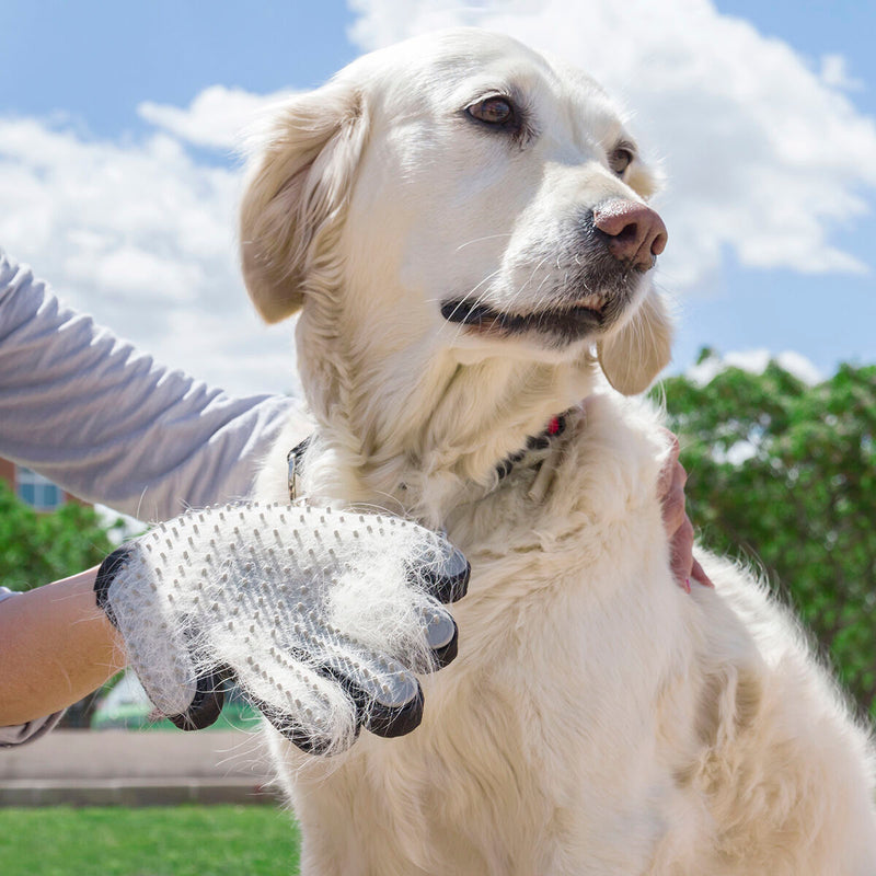 Guante para Cepillar y Masajear Mascotas Relpet InnovaGoods Silicona (Reacondicionado A)