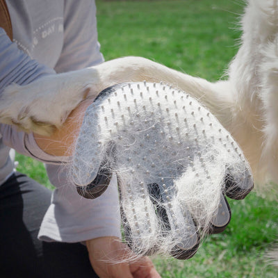 Guante para Cepillar y Masajear Mascotas Relpet InnovaGoods Silicona (Reacondicionado A)