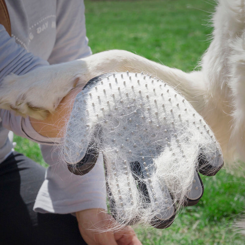 Gant pour Brosser et Masser les Animaux Domestiques Relpet InnovaGoods Silicone (Reconditionné A)