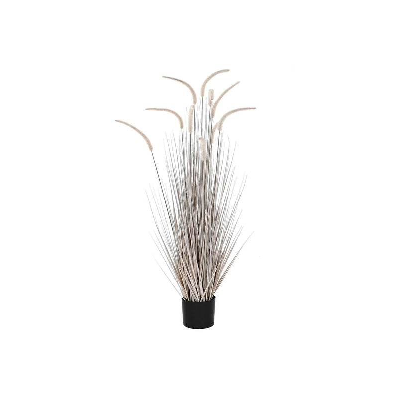 Plante décorative DKD Home Decor Gris clair (Reconditionné B)