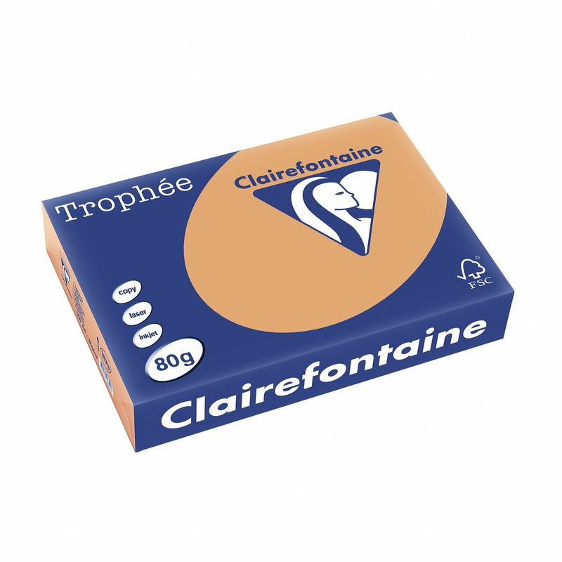 Papier Clairefontaine Trophee Weiß A4 (Restauriert D)