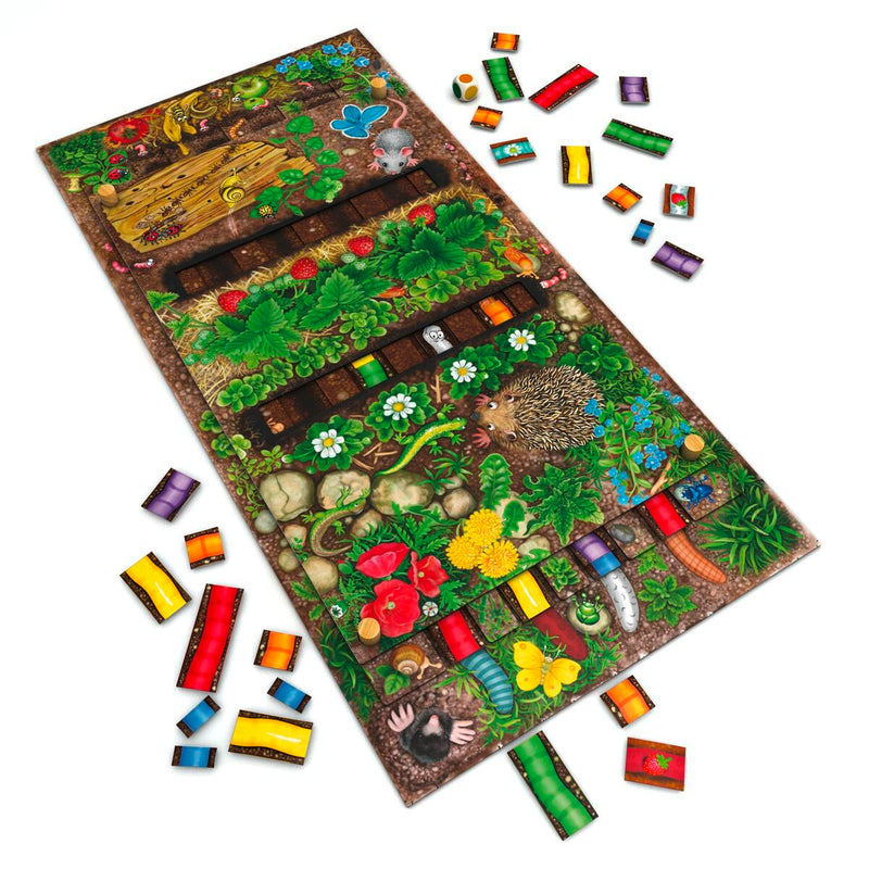 Board game (Refurbished B)