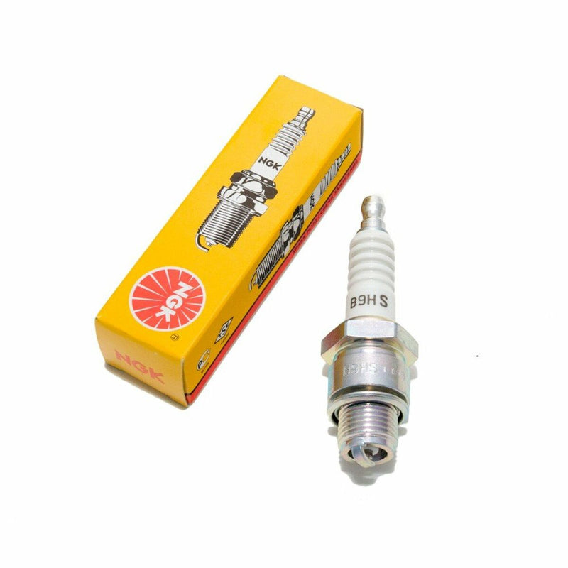 Spark plug Ngk (Refurbished A+)