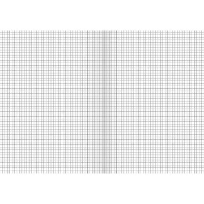 Notebook Brunnen Graph paper (Refurbished B)