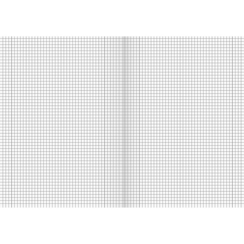 Notebook Brunnen Graph paper (Refurbished B)