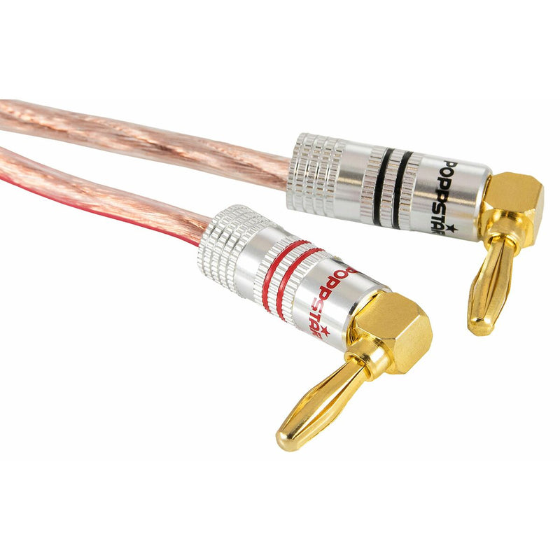 Speaker cable (Refurbished D)