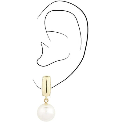 Boucles D'Oreilles Femme avec Perle 113718 (Reconditionné B)