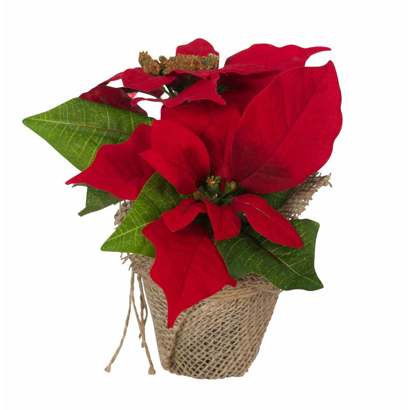 Decorative Flowers Christmas (Refurbished B)