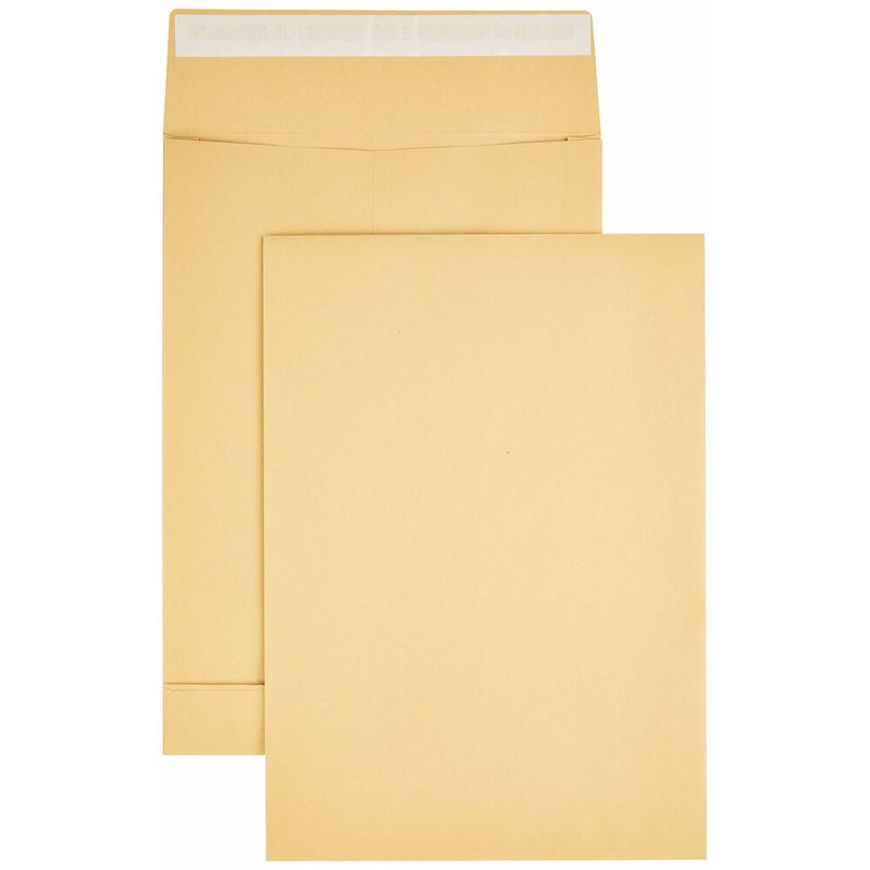 Enveloppes Amazon Basics 8983209 B4 (250 x 353 x 40 mm) (Reconditionné D)