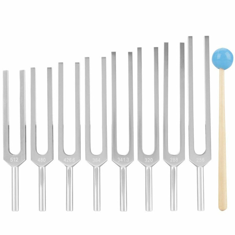 Mallette à Outils TUNING-FORK (Reconditionné A)