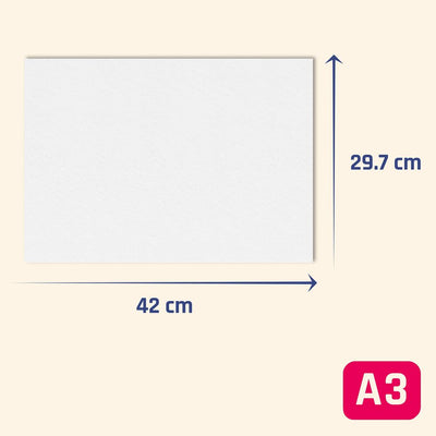 Papier A3 Carton (Reconditionné A)