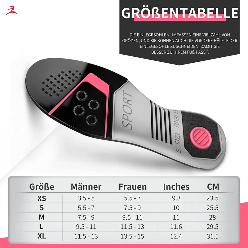 Modèles (Reconditionné B)