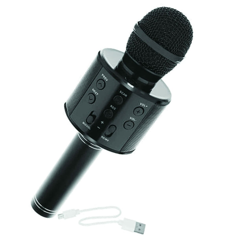 Microphone Karaoké (Reconditionné C)