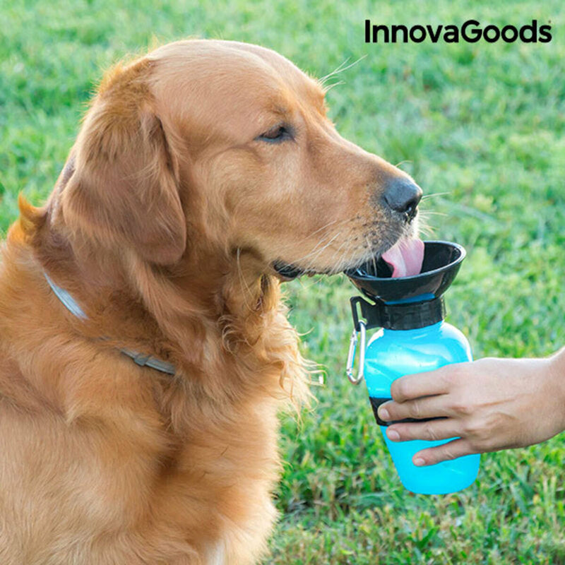 Botella Bebedero de Agua para Perros InnovaGoods (Reacondicionado B)